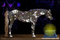 Horse Color:White Spotted Midnight Liver Chestnut Pearl Sabino Appaloosa 