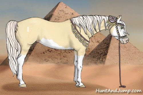 Horse Color:Silver Amber Champagne Dun Splash 