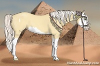 Horse Color:Silver Amber Champagne Dun Splash 