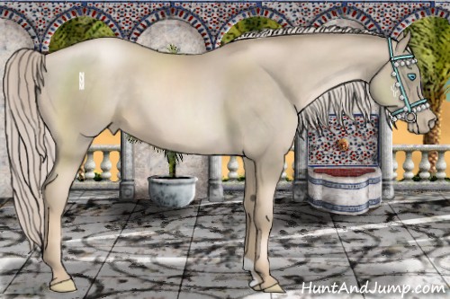 Horse Color:Chocolate Palomino Pearl 