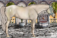 Horse Color:Chocolate Palomino Pearl