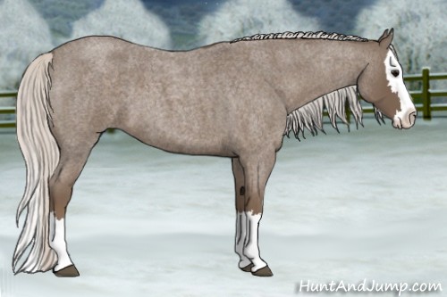 Horse Color:Silver Blue Roan Splash