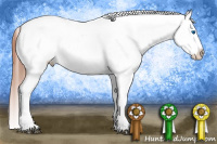 Horse Color:White Spotted Brown Frame Appaloosa Rabicano  and White Spotted Brown Frame Appaloosa Rabicano 