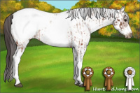 Horse Color:White Spotted Brown Frame Appaloosa Rabicano  and White Spotted Brown Frame Appaloosa Rabicano 