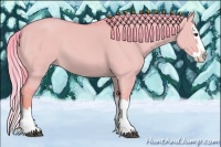 Horse Color:Watercolor Liver Red Dun Splash 