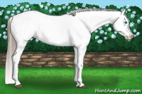 Horse Color:White Spotted Blue Roan Splash Frame Varnish 
