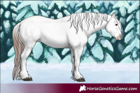 Horse Color:White Spotted Brown Frame Snowcap Rabicano and White Spotted Brown Frame Snowcap Rabicano