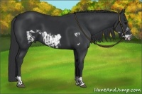 Horse Color:Black  and Black Frame 