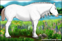 Horse Color:White Spotted Brown Splash Frame Near Fewspot Rabicano and White Spotted Brown Splash Frame Near Fewspot Rabicano