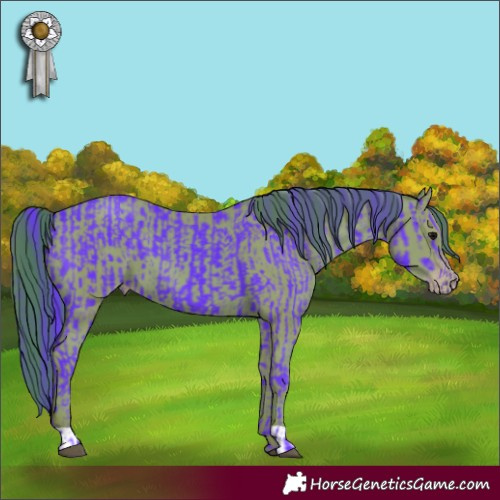 Horse Color:Watercolor Black  and Watercolor Classic Champagne 