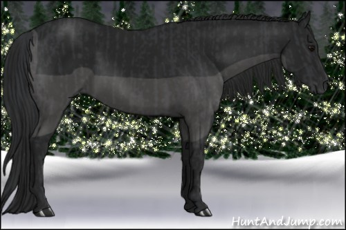 Horse Color:Black and Gray Black