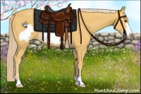 Horse Color:Palomino Frame 