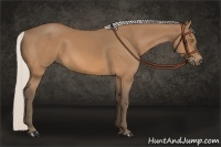 Horse Color:Silver Buckskin 