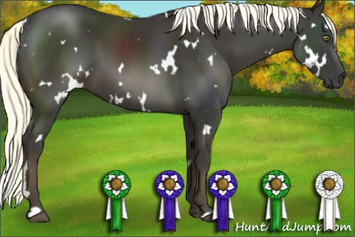 Horse Color:White Spotted Liver Chestnut 