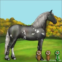 Horse Color:White Spotted Liver Chestnut 