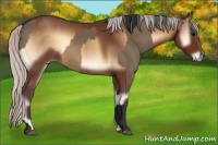 Horse Color:Brown Dun Rabicano and Silver Brown Onyx Rabicano