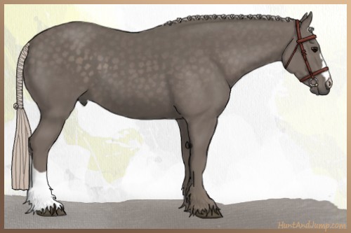 Horse Color:Silver Black 