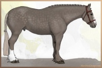 Horse Color:Silver Black 