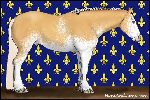 Horse Color:White Spotted Silver Amber Champagne 