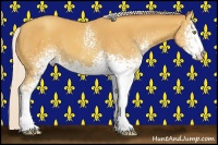 Horse Color:White Spotted Silver Amber Champagne