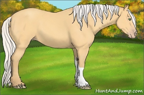 Horse Color:Silver Amber Cream Champagne
