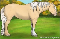 Horse Color:Silver Amber Cream Champagne