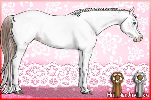 Horse Color:White Spotted Brown Frame Appaloosa Rabicano  and Brown Tobiano Frame Appaloosa Rabicano 