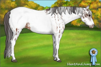 Horse Color:White Spotted Brown Frame Appaloosa Rabicano  and White Spotted Brown Frame Appaloosa Rabicano 