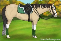 Horse Color:Bay Dun Splash 