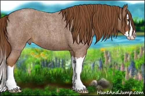 Horse Color:Red Roan Splash