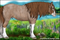 Horse Color:Red Roan Splash