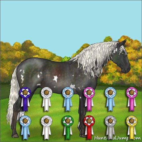 Horse Color:White Spotted Liver Chestnut Mushroom 