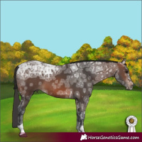 Horse Color:Brown Ice Tobiano 