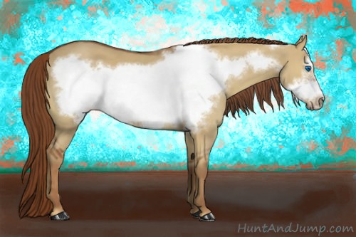 Horse Color:Red Dun Frame 