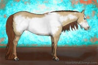 Horse Color:Red Dun Frame