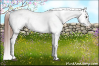 Horse Color:White Spotted Brown Frame Varnish Rabicano and White Spotted Brown Frame Varnish Rabicano