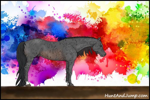 Horse Color:Black Ice  and Brown Ice 