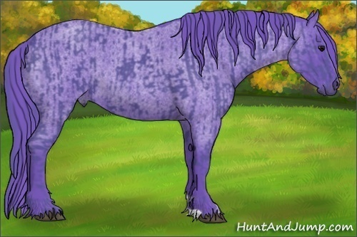 Horse Color:Watercolor Black  and Watercolor Blue Roan 