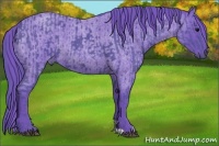 Horse Color:Watercolor Black  and Watercolor Blue Roan 
