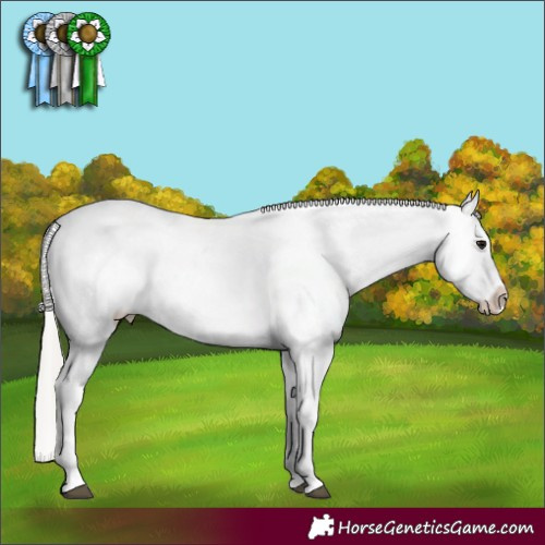 Horse Color:White Spotted Silver Brown Blanket 
