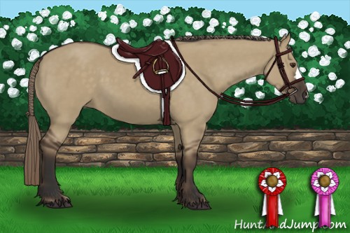 Horse Color:Liver Red Dun 
