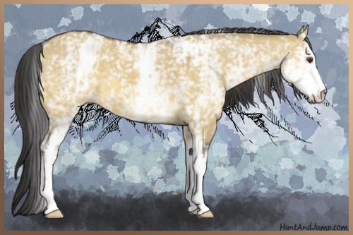 Horse Color:White Spotted Buckskin Dun 