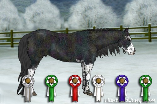 Horse Color:Midnight Black Ice Sabino  and Midnight Black Ice Sabino Varnish 