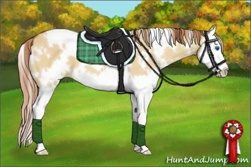 Horse Color:White Spotted Red Dun Splash 