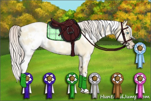 Horse Color:White Spotted Palomino Pearl Dun