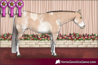 Horse Color:White Spotted Bay Pearl Dun Sabino Rabicano Brindle  and White Spotted Bay Dun Sabino Rabicano Brindle 