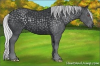 Horse Color:Silver Black Chinchilla 