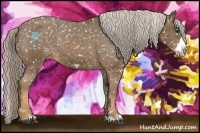 Horse Color:Chocolate Palomino Frame Snowflake Varnish 