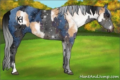 Horse Color:ERROR: UNKNOWN ANOMALY and ERROR: UNKNOWN ANOMALY