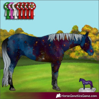 Horse Color:ERROR: UNKNOWN ANOMALY and ERROR: UNKNOWN ANOMALY